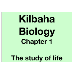 Biology Chapter 1 - The Study of Life